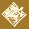 Cherry Tree Design